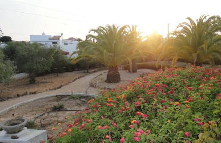 Villa El Alcazar - Foto 36