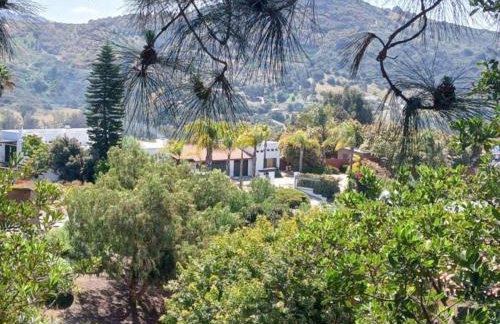 Luxury 5 bedroom Wine Retreat Fallbrook Villa sleeps 12 - Foto 12