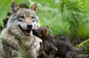 Gîte au calme pleine nature près d'un ruisseau - Foto 44