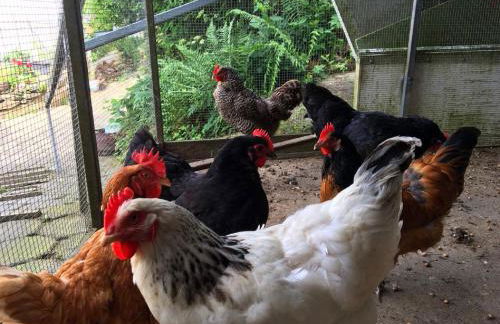 Cozy Apartment in Ellar With Garden - Foto 62