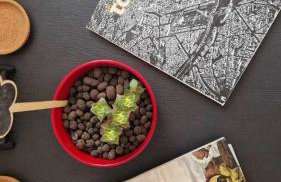 Kofinaki apartment 2 - Tychero Evros - Foto 15