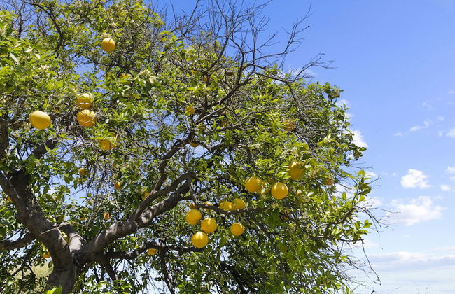 Contemporary Condo in Central Biltmore - Foto 12