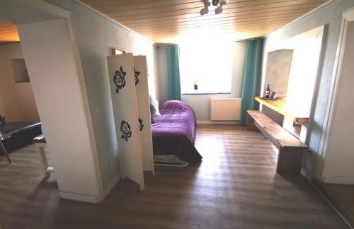 Mooi ruim appartement in antieke stadsboerderij - Foto 3
