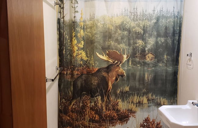 lazy bear cabins - Foto 51