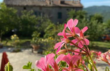Agriturismo La Via Dell'Oliviera - Foto 7