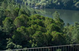 Casa Douro River - Foto 10