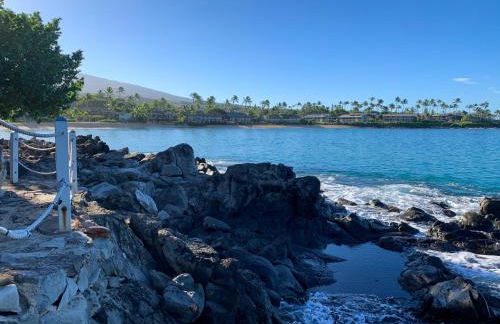 Napili Village Hotel - Photo 84