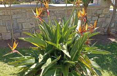 Seaside retreat house - Foto 19