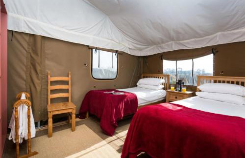 Snipe - Bleasdale - Foto 15