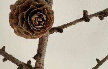 NATURA APARTAMENTY Era - Photo 32