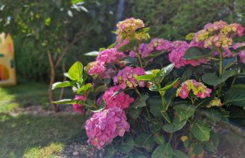 Domki Oaza Spokoju - Foto 15