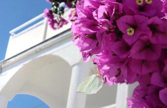 Villa Maris - Foto 1