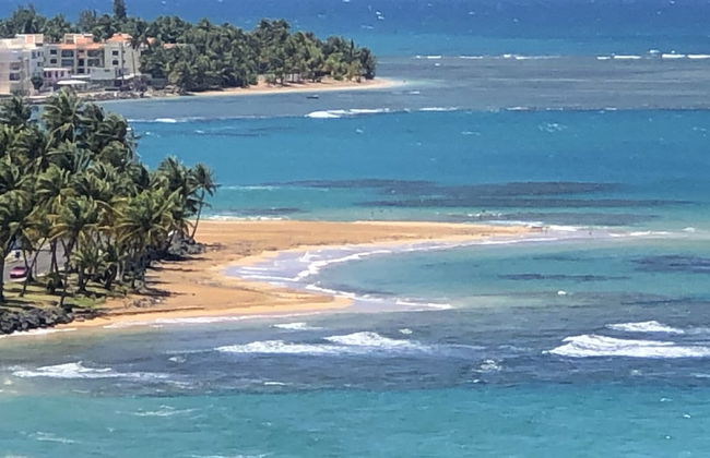 Ocean View Gorgeous 1 Bedroom Apt - Photo 43