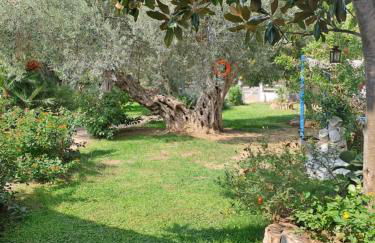 Bill's Garden Villa - Foto 43