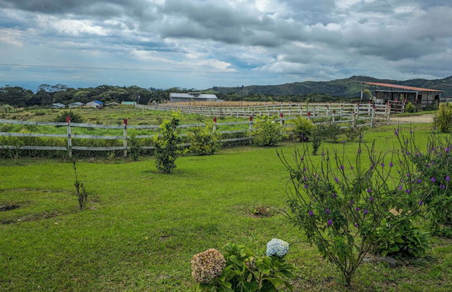 Almore Hotel - Foto 59