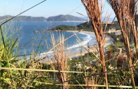 Praia de Quatro Ilhas a 50 metros do mar - Photo 24