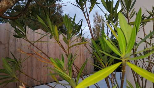 Petite maison au calme tout confort - Foto 2