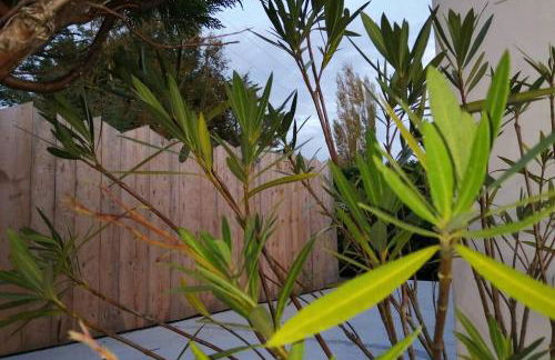 Petite maison au calme tout confort - Foto 2