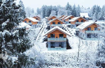 Hahnenklee Ferienchalets - Foto 24