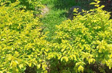 Meu Cantinho - Foto 32