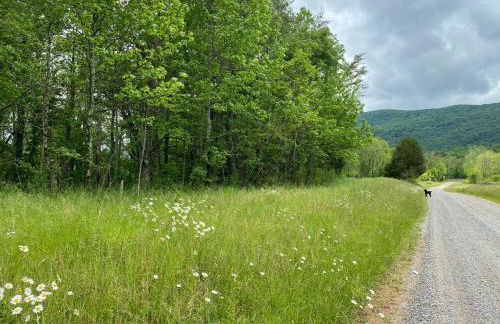 Blue Hole at Pigeon Mtn Wildlife Mgmt Area - Foto 47