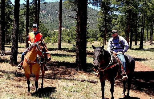 Grand Canyon 1bd Loft at Historic Wrigley Ranch-Suite with Horseback Riding, Hiking - Foto 16