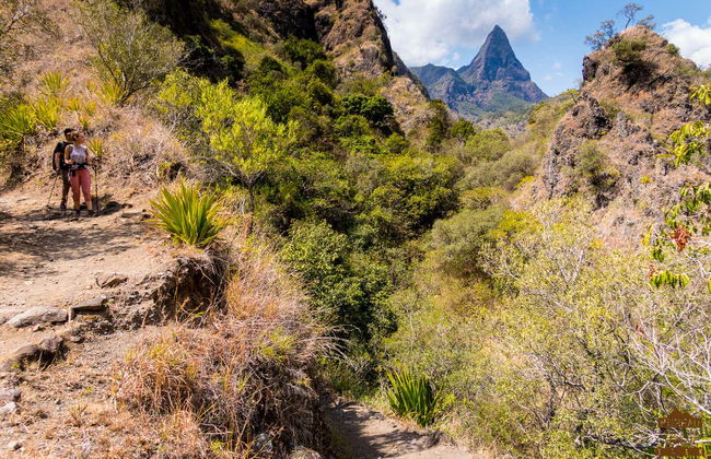 Tour in Réunion - Foto 13