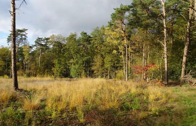 Holiday Home in Zelhem With Forest and Hot Tub - Foto 36