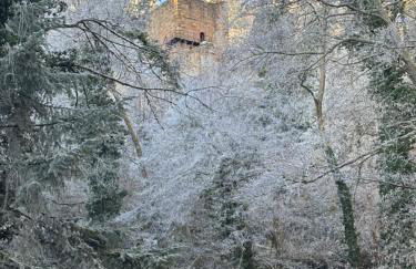 Le petit nid de Turckheim avec parking privé - Foto 15