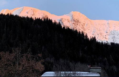 Individual chalet for up to 12 people maximum - Foto 30