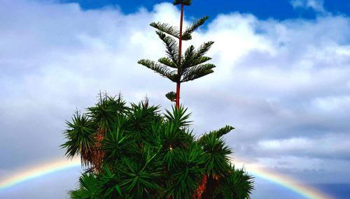 La casita del Lagar - Foto 3