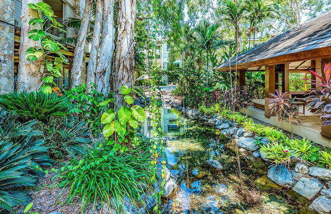 Luxury Apartment at Sea Temple Palm Cove 2 Bed 2 Bath - Photo 43