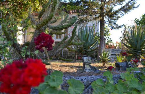 Elegant Villa Zakynthos - Foto 45