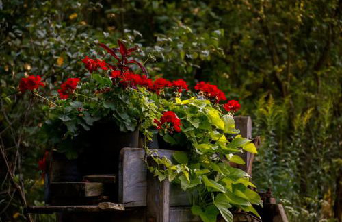 Zacisze Markowszczyzna - Foto 43