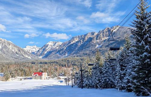 Ski In and Out The Mountainside House with Hot Tub! - Foto 43