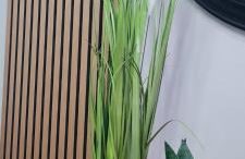 Stylish home in Linlithgow Near Edinburgh Airport Free parking Free WiFi - Foto 13