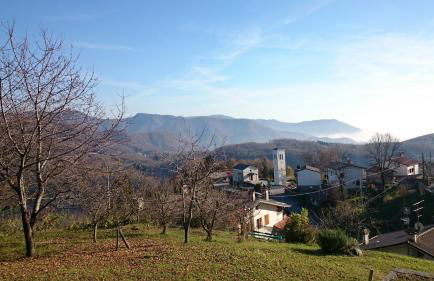 Ciclaminis - Photo 7