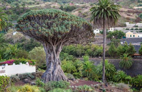 Superior C: private pool & concierge - Foto 29