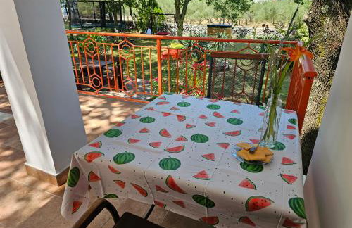 Villa Kučan - Foto 8