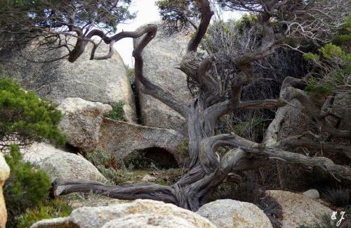 Casa Erbaggio - Foto 35