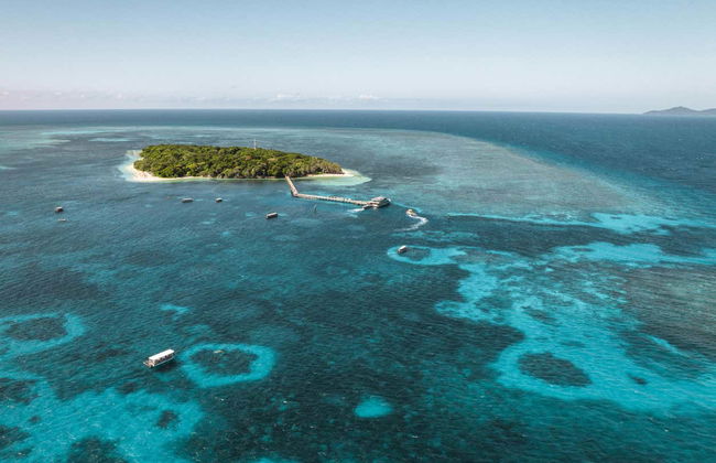 Excursión a Green Island - Foto 10