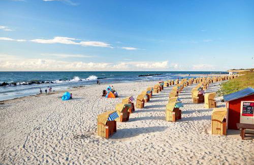 Seeschwalbe in der Alten Seefahrtschule - Foto 17