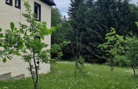 Altes Zollhaus im Wald - Foto 27