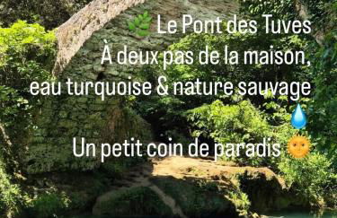 Gîte Le Figuier de Saint Ce Jardinet Terrasse Vue - Foto 41