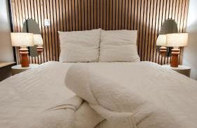 Appartement au calme T3 RDC - Quartier de France - Foto 36