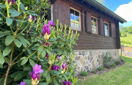 Blockhütte Engeln-Eifel - Foto 1