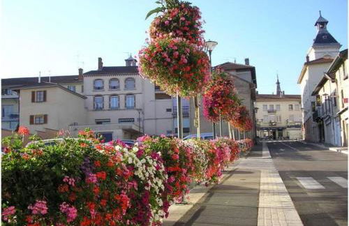 Bel Appartement Meximieux Centre Ville 2 chambres - Foto 27