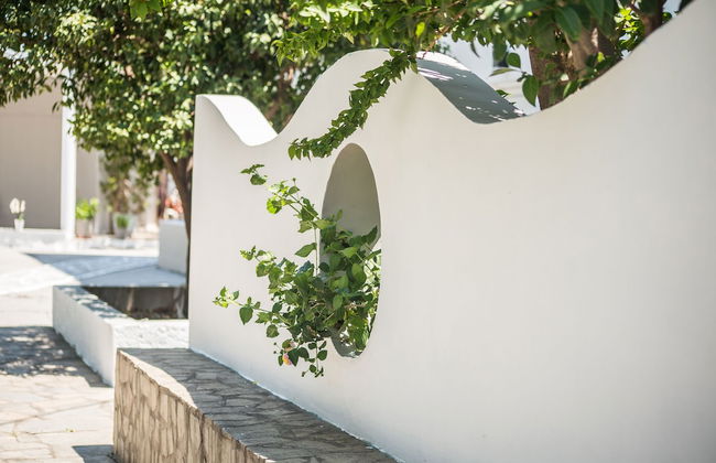 Anika Studios - Foto 31