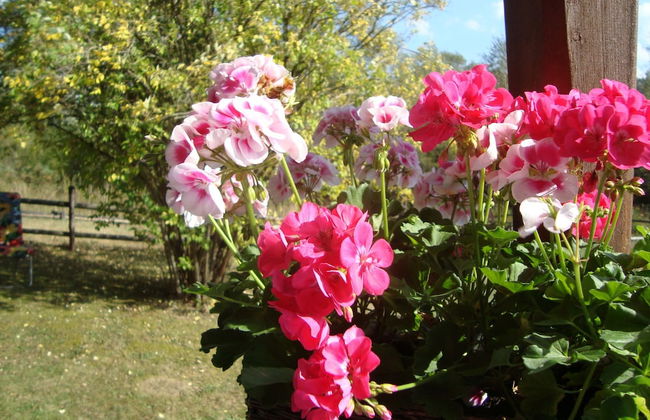 Drewniany Domek BB Nad Rzeka - Foto 17