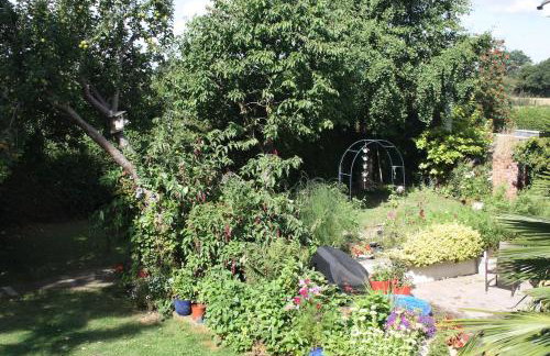 Pond View - Cottage with beautiful views - Dogs welcome by request - Foto 21